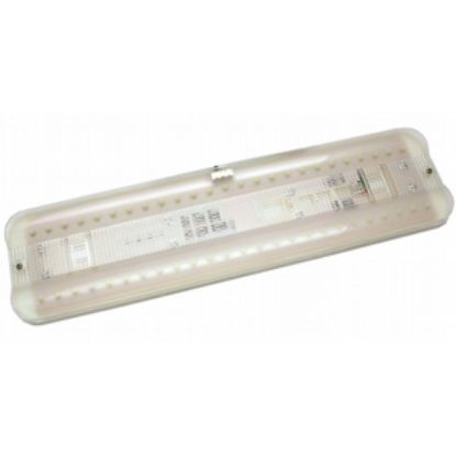 Picture of Diamond Group  Standard White 50 LED Interior Light DG52529VP 18-2240                                                        