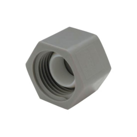 Picture of QEST Qicktite (R) 1/2" FPT Gray Acetal Test Cap  10-3142                                                                     