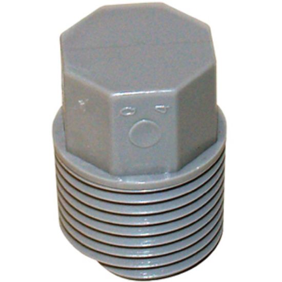 Picture of QEST Qicktite (R) 1/2" MPT Gray Acetal Test Plug  10-3160                                                                    